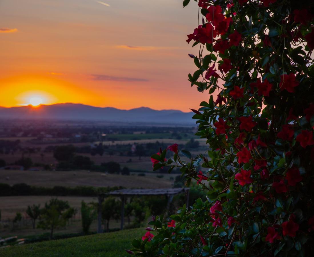Podere N.8 Bio Casale Maremma Alberese Kültér fotó